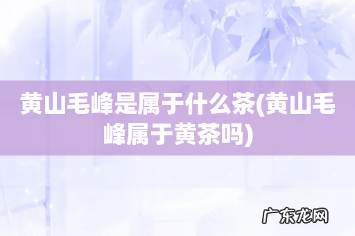 黄山毛峰属于黄茶吗 黄山毛峰是属于什么茶