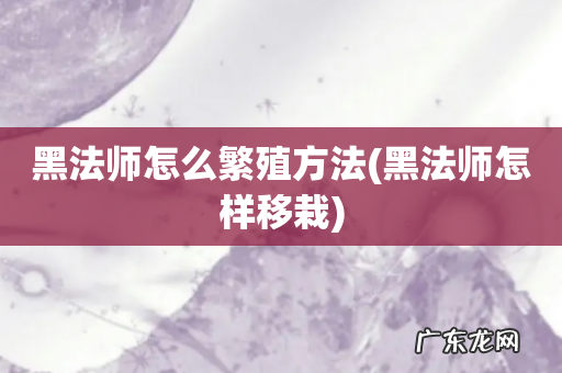 黑法师怎样移栽 黑法师怎么繁殖方法