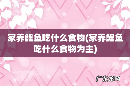 家养鲤鱼吃什么食物为主 家养鲤鱼吃什么食物