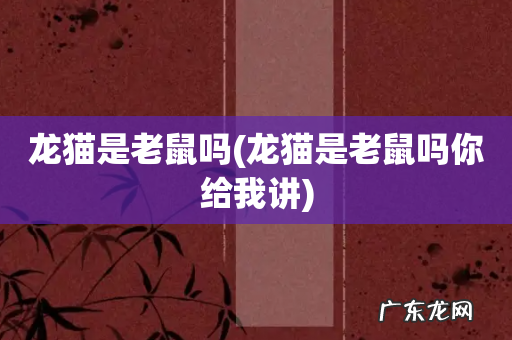 龙猫是老鼠吗你给我讲 龙猫是老鼠吗