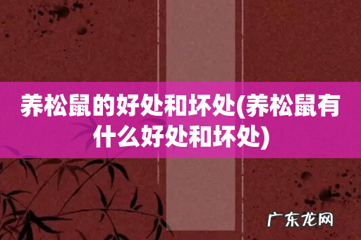 养松鼠有什么好处和坏处 养松鼠的好处和坏处