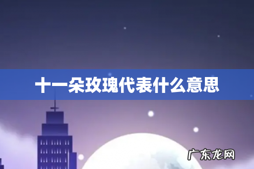 十一朵玫瑰代表什么意思