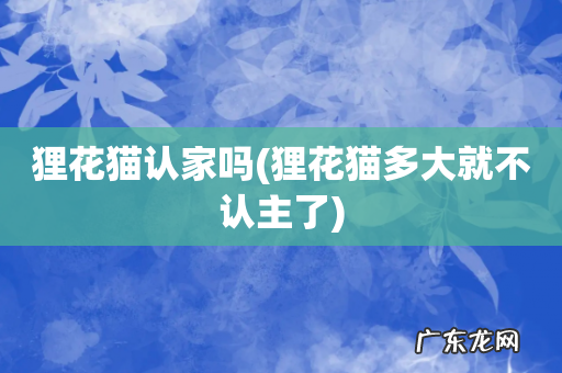 狸花猫多大就不认主了 狸花猫认家吗