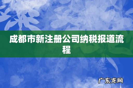 成都市新注册公司纳税报道流程