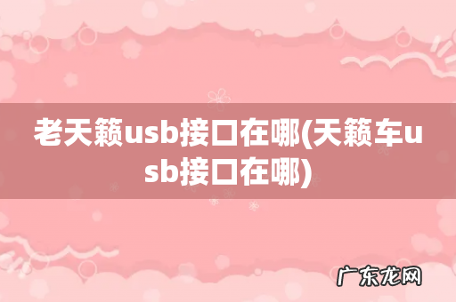 天籁车usb接口在哪 老天籁usb接口在哪