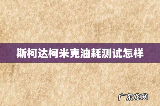 斯柯达柯米克油耗测试怎样