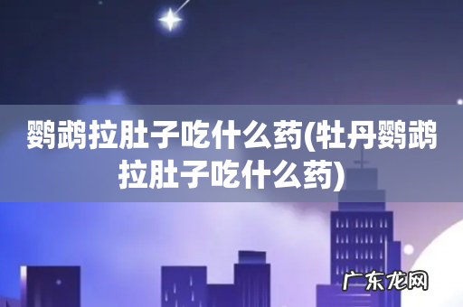 牡丹鹦鹉拉肚子吃什么药 鹦鹉拉肚子吃什么药