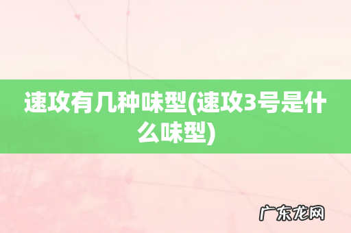 速攻3号是什么味型 速攻有几种味型