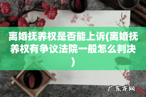 离婚抚养权有争议法院一般怎么判决 离婚抚养权是否能上诉