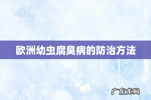 欧洲幼虫腐臭病的防治方法