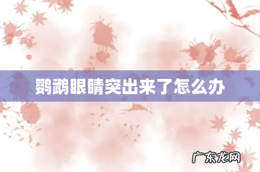 鹦鹉眼睛突出来了怎么办