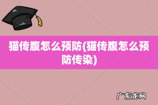 猫传腹怎么预防传染 猫传腹怎么预防
