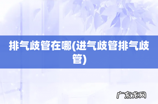 进气歧管排气歧管 排气歧管在哪