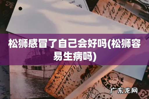 松狮容易生病吗 松狮感冒了自己会好吗