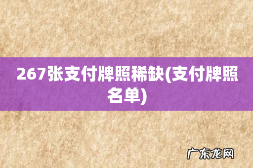 支付牌照名单 267张支付牌照稀缺