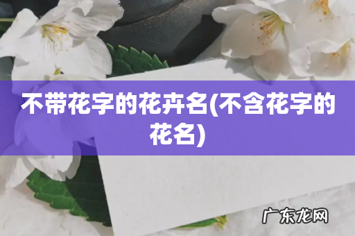 不含花字的花名 不带花字的花卉名