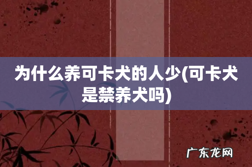 可卡犬是禁养犬吗 为什么养可卡犬的人少