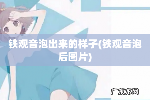 铁观音泡后图片 铁观音泡出来的样子