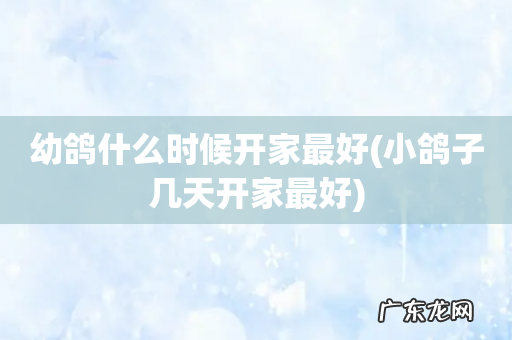小鸽子几天开家最好 幼鸽什么时候开家最好