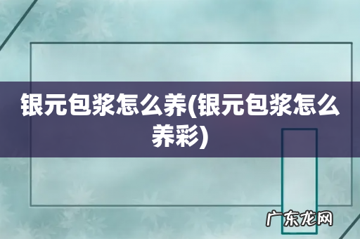 银元包浆怎么养彩 银元包浆怎么养