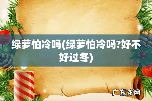 绿萝怕冷吗?好不好过冬 绿萝怕冷吗