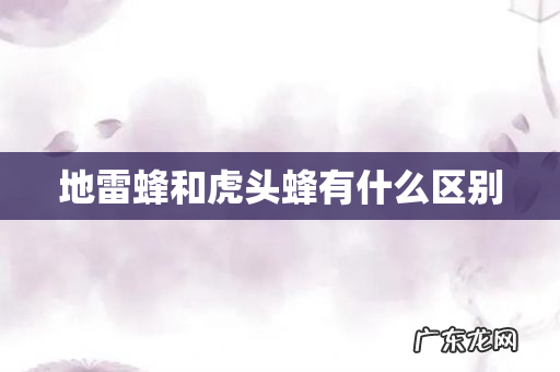 地雷蜂和虎头蜂有什么区别