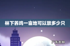林下养鸡一亩地可以放多少只