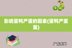 蛋鸭产蛋量 影响蛋鸭产蛋的因素