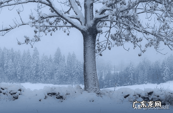 风水中五鬼是什么意思 风水中什么叫鬼尾