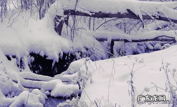 风水中五鬼是什么意思 风水中什么叫鬼尾