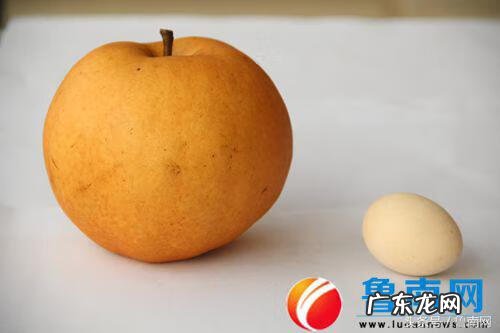 梨树在风水上的寓意 富硒梨价格