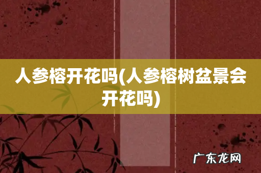 人参榕树盆景会开花吗 人参榕开花吗