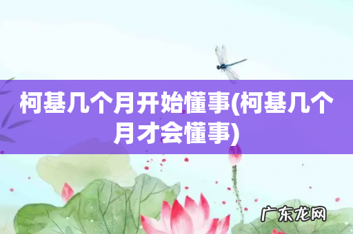 柯基几个月才会懂事 柯基几个月开始懂事