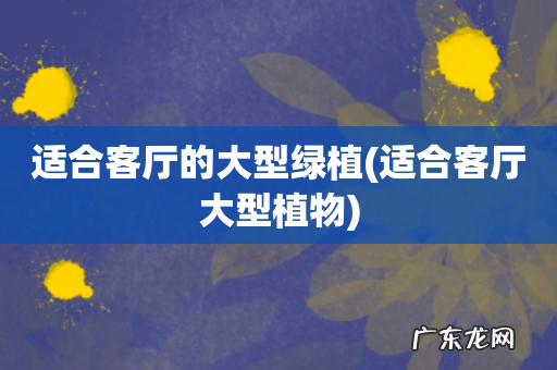 适合客厅大型植物 适合客厅的大型绿植
