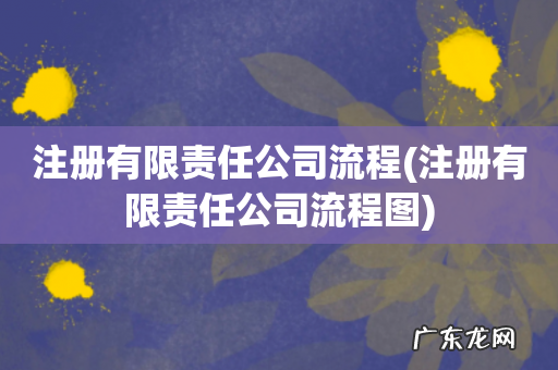 注册有限责任公司流程图 注册有限责任公司流程