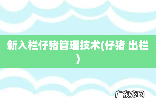 仔猪 出栏 新入栏仔猪管理技术