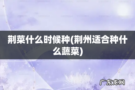 荆州适合种什么蔬菜 荆菜什么时候种