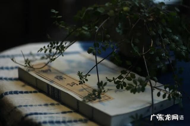 智弓灵魂回响 灵魂回响是什么意思