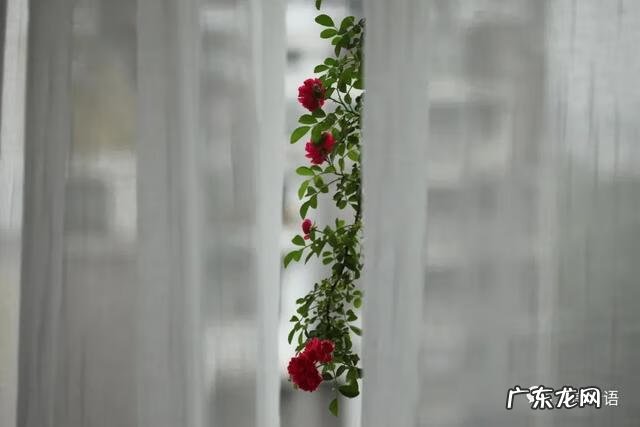 智弓灵魂回响 灵魂回响是什么意思