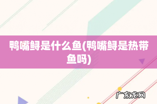 鸭嘴鲟是热带鱼吗 鸭嘴鲟是什么鱼