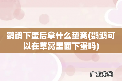 鹦鹉可以在草窝里面下蛋吗 鹦鹉下蛋后拿什么垫窝