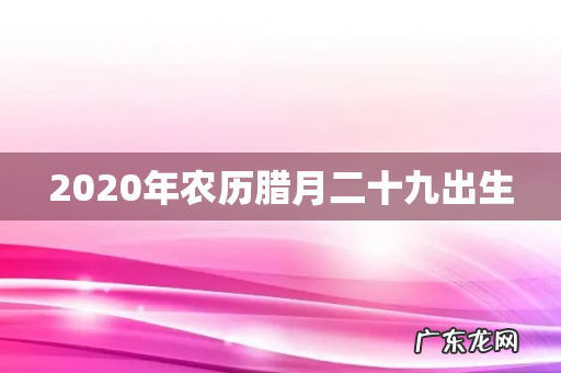 2020年农历腊月二十九出生