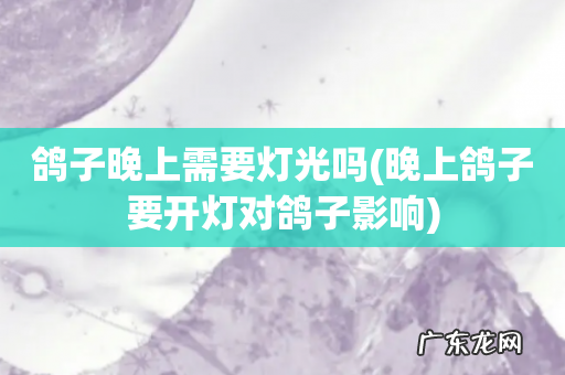 晚上鸽子要开灯对鸽子影响 鸽子晚上需要灯光吗