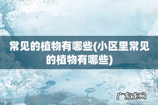 小区里常见的植物有哪些 常见的植物有哪些