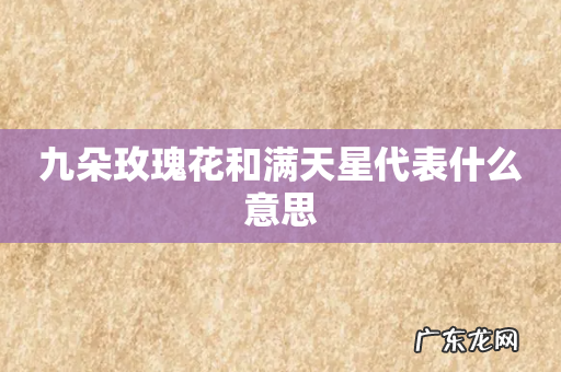 九朵玫瑰花和满天星代表什么意思