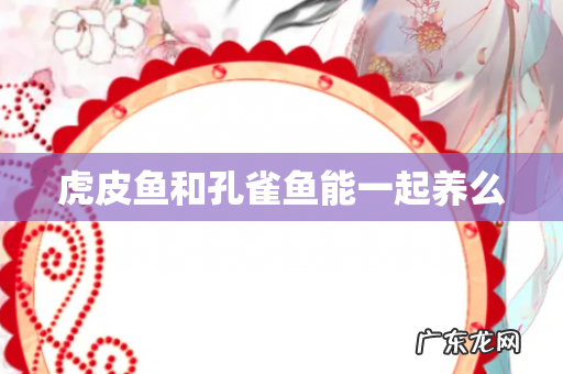 虎皮鱼和孔雀鱼能一起养么