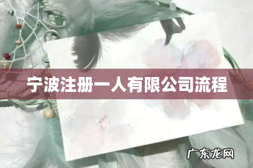 宁波注册一人有限公司流程