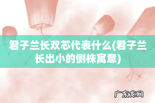 君子兰长出小的侧株寓意 君子兰长双芯代表什么