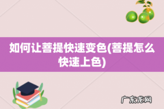 菩提怎么快速上色 如何让菩提快速变色