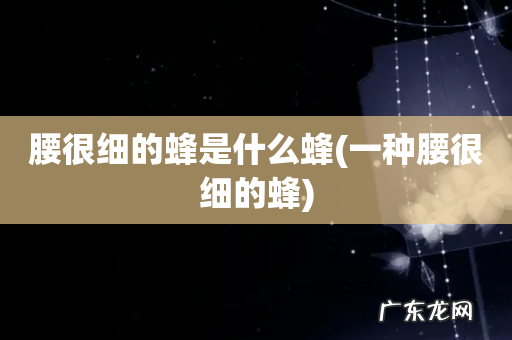 一种腰很细的蜂 腰很细的蜂是什么蜂